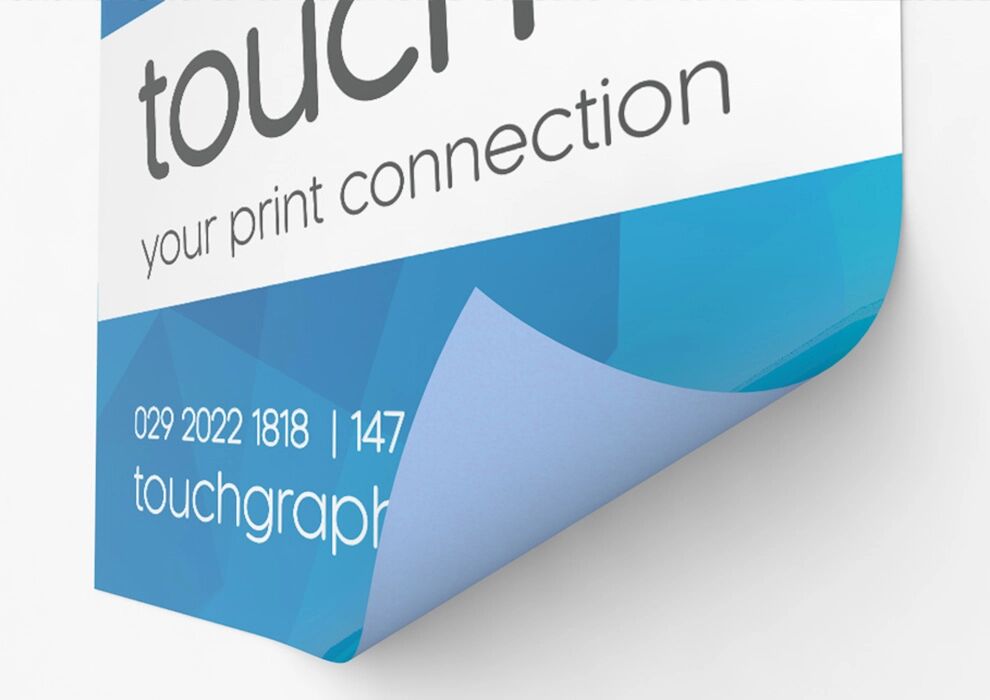 Blue back перевод