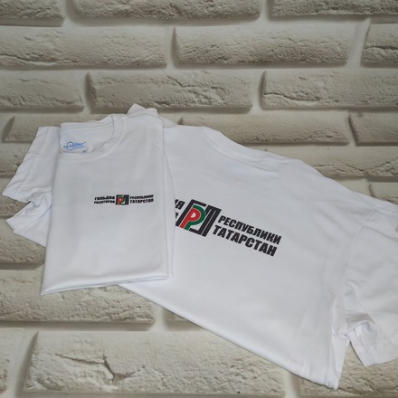 Футболки с логотипом