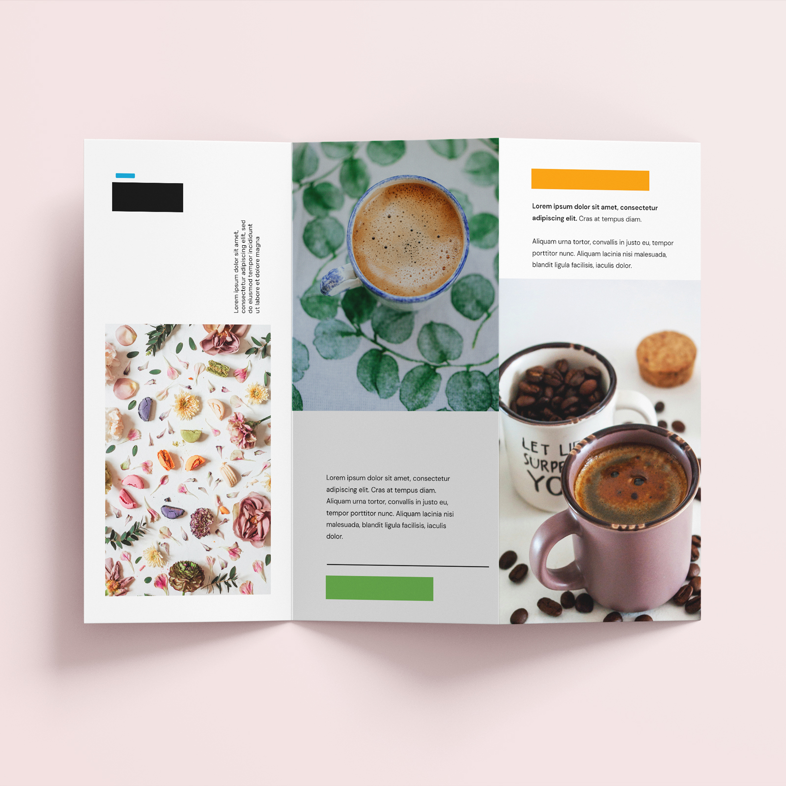 Trifold brochures