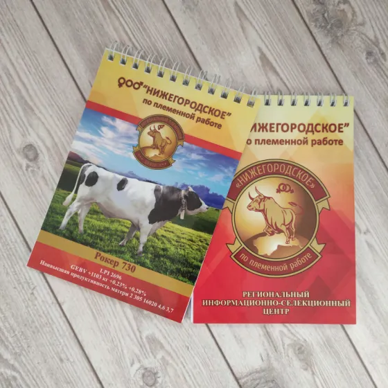 Блокнот на пружине А5