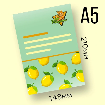 Листовки (А5, 210×148 мм)