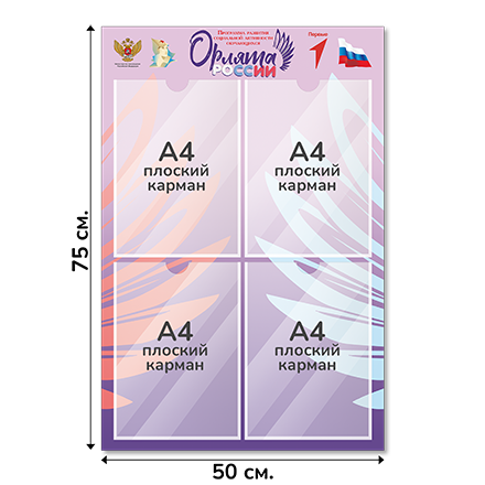 Информационный стенд «Орлята России», 50×75 см, 4 кармана А4