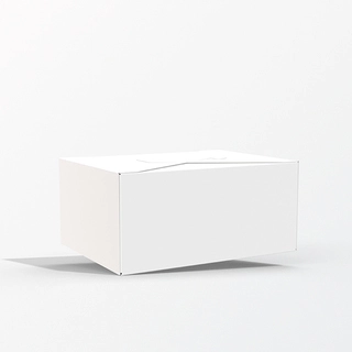 Коробка картонная для суши и роллов